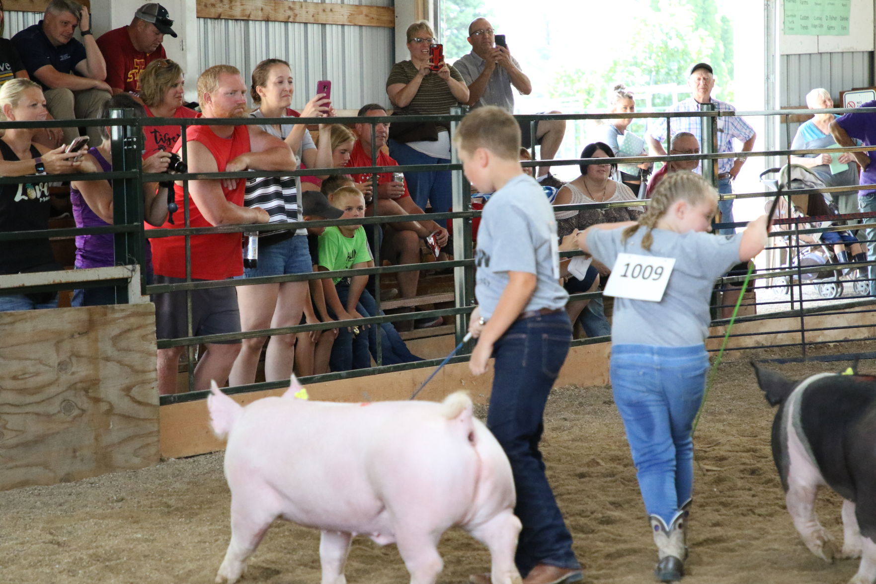 Pig Show (3).JPG